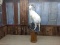 Unbelievable Full Body Mount Alaskan Dall Sheep