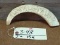 Genuine Warthog Tusk Hand Carved Single Sided Intricate Detailed Carving 8