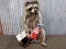 Full Body Mount Raccoon Eating Cracker Jacks New Mount 18