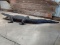 HUGE Full Body Mount 12' Alligator Great Condition With A 22
