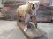 Full Body Mount Kodiak Brown Bear Repro Claws Great Thick Fur