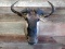 Shoulder Mount African Wildebeest Nice Clean Mount