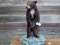 Color Phase Black Bear Cub On Artificial Rock Base New Mount