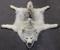 Outstanding Thick furred Canadian Arctic wolf rug.