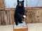 Nice Little Standing Black Bear Full Body Mount On Roll Around Base