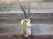 African Thomson Gazelle Shoulder Mount Big Horns