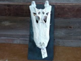 Big Alligator Skull 21