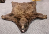 HUGE Color phase black bear measures 80 inches tip to tip and 76 inches across.