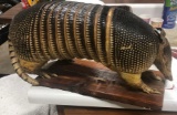 Full Body Mount Armadillo New Mount 20” long and 8” wide