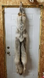 Fresh tan complete mountable timber wolf. This guy is about 73 inches long.