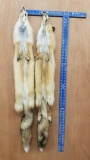 Two tanned pale Western Red Fox Furs about 48 and 49 inches long.