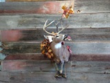 Shoulder Mount Whitetail Eating An Acorn Nice Clean Mount