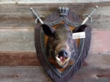 Shoulder Mount Russian Wild Boar With Decorative Plaque