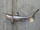 Reproduction Shark Mount About 30