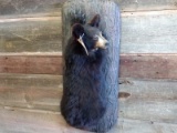 Black Bear Cub Hanging On An Artificial Log Slab Clean Mount