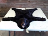 Black Bear Rug Double Felted Edging All Claws Intact