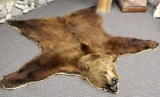 Beautiful Alaskan Brown Bear Rug Measures 92
