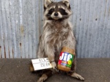 Full Body Mount Raccoon Eating Peanut Butter New Mount 18