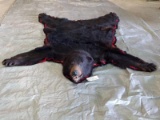 Black Bear Rug Double Felted Edging All Claws Intact