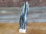 Fossilized Orthoceras Squid Tower