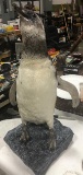 Magellanic Penguin Full Body Mount NEW On Artificial Rock Base