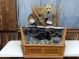 Arctic Red Fox Full Body Mount On Frozen Creek Bed Base Fox