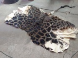 Soft Tanned Giraffe Back Hide Great Markings 97