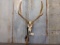 Decorated Elk Skull 4x4