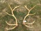 Set Of 6x5 Elk Sheds
