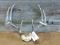 8 Point Whitetail Rack On Skull Plate With 1945 Michigan Deer Tag