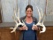 Set Of Whitetail Sheds With Tall Forked G2s & Double Main Beam