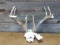 Whitetail Rack On Skull Forked Brow Tines Great Color