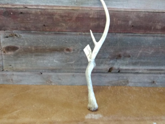 Freak Elk Shed With 12" Drop Tine