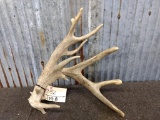 Main Frame 5x5 Whitetail Shed With Extras