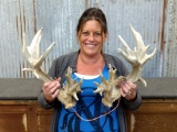 Gnarly Non Typical Whitetail Sheds Clustered Brow Tines Lots Of Beading