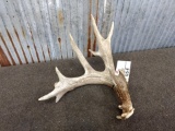Main Frame 4 Point Whitetail Shed With Extras