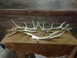 5 Elk Sheds Total Weight 20 lbs Some Have Been Coated