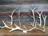Elk Sheds & Cuts 27.5 lbs