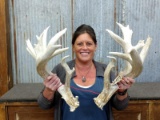 Thick Heavy Main Frame 4 x 4 Whitetail Sheds