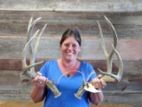 Nice Set Of 6x5 Mule Deer Sheds Previously Mounted