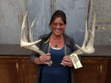 5x5 Whitetail Sheds Tall Tines Great Typical Look