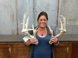 5x5 Whitetail Sheds Palmated Forked Brows Right 73