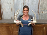 6x6 Whitetail Sheds as is