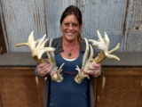Gnarly Non Typical Whitetail Sheds