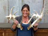 Big Gnarly Whitetail Sheds Extra Long Main Beams Double Row Tines