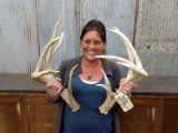 Main Frame 4 X5 Whitetail Sheds Tall Tines Good Color 88