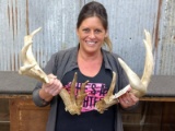 Main Frame 4 x 4 Whitetail Sheds Clustered Brow Tines Good Color