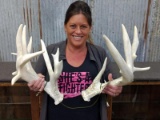 Palmated Whitetail Sheds Right 96
