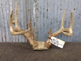 4X4 Whitetail Rack With Flyers 17