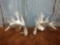 Whitetail Sheds R 87